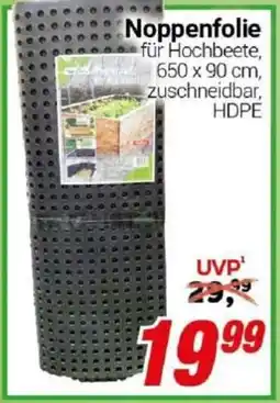 CENTERSHOP Noppenfolie Angebot