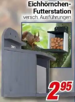 CENTERSHOP Eichhörnchen Futterstation Angebot