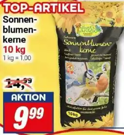 CENTERSHOP Bird's Garden Sonnenblumenkerne Angebot