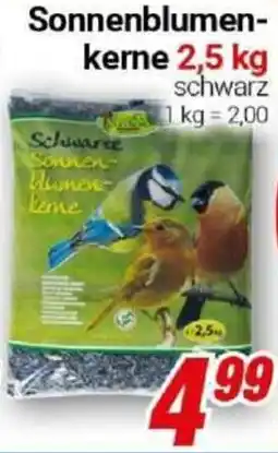 CENTERSHOP Bird's Garden Sonnenblumenkerne Angebot