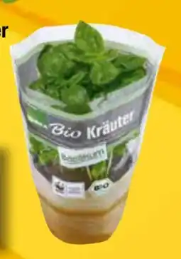 EDEKA Bandelt Edeka Bio Bio-Topfkräuter Angebot