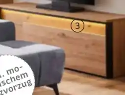 XXXLutz Hom'In TV-Element Angebot