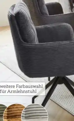 XXXLutz Stylife Armlehnstuhl Angebot