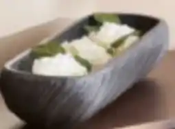 XXXLutz Ambia Pflanzschale Angebot