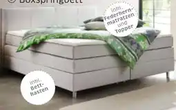 XXXLutz Boxxx Boxspringbett Angebot