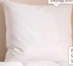 XXXLutz Billerbeck Kopfkissen Polarstern Angebot