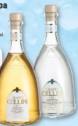 trinkgut Cellini Grappa Oro Angebot