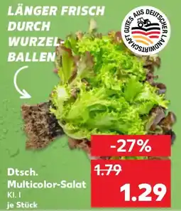Kaufland Dtsch. Multicolor-Salat Angebot