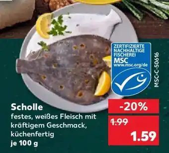 Kaufland Scholle Angebot