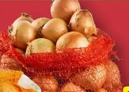 Aldi Nord Zwiebeln Angebot