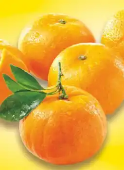 E-Center Edeka Genussmomente Mandarinen Angebot