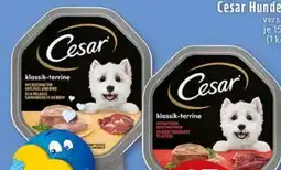 E-Center Cesar Hundenahrung Angebot
