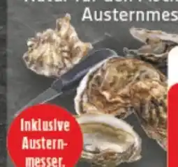 E-Center Austern Fines de Claires Angebot