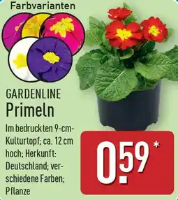 Aldi Nord GARDENLINE Primeln Angebot