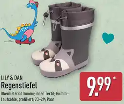 Aldi Nord LILY & DAN Regenstiefel Angebot
