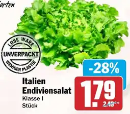 HIT Italien Endiviensalat Angebot