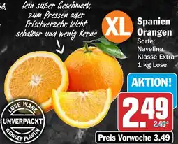 HIT Spanien Orangen Angebot