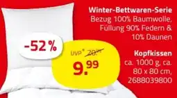 ROLLER Kopfkissen Angebot