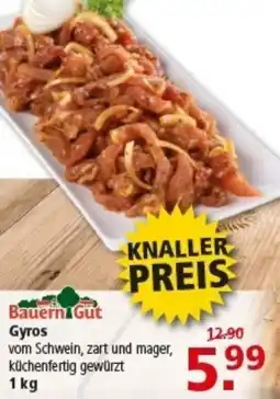 Multi Markt Bauern Gut Gyros Angebot