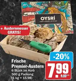 HIT Frische Premier-Austern Angebot