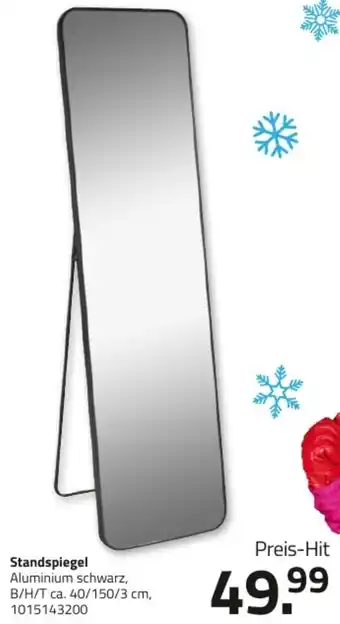 ROLLER Standspiegel Angebot