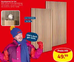 ROLLER Akustikpaneel 2er-Set Angebot