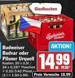 HIT Budvar oder Pilsner Urquell Angebot