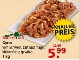 Multi Markt Bauern Gut Gyros Angebot