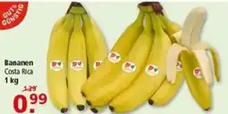 Multi Markt GUT&GÜNSTIG Bananen Angebot