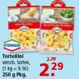 Multi Markt STEINHAUS Tortellini Angebot