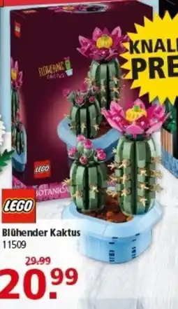 Multi Markt LEGO Blühender Kaktus Angebot