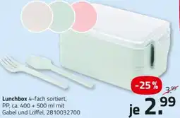ROLLER Lunchbox Angebot