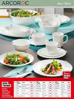 Handelshof Arcoroc serie trianon Angebot