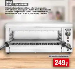 Handelshof Hendi quarz-salamander Angebot