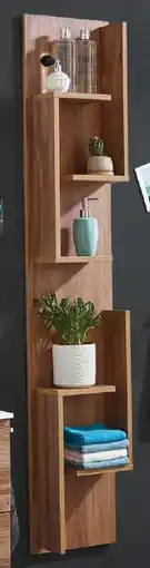 Möbel Martin Regal Angebot