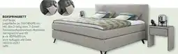Möbel Martin RUF BETTEN Boxspringbett Angebot