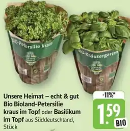 Schmidt's Märkte Unsere Heimat - echt & gut Bio Bioland-Petersilie kraus im Topf oder Basilikum im Topf Angebot
