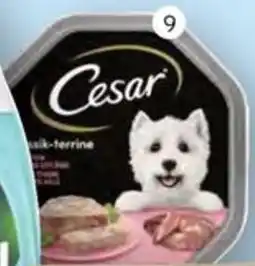 Schmidt's Märkte Cesar Hundenahrung Angebot