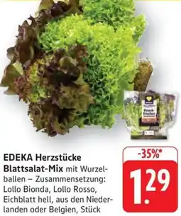 Schmidt's Märkte EDEKA Herzstücke Blattsalat-Mix Angebot