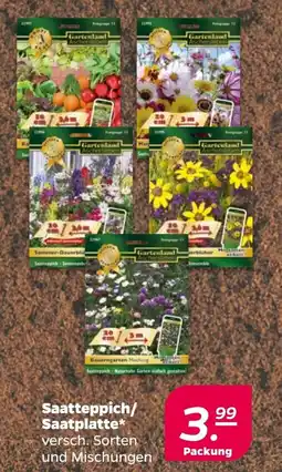 NETTO Saatteppich/ Saatplatte Angebot