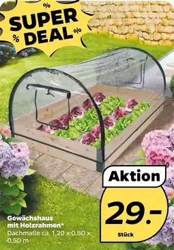 NETTO Gewächshaus mit Holzrahmen Angebot