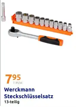 Action Werckmann Steckschlüsselsatz 13-teilig Angebot