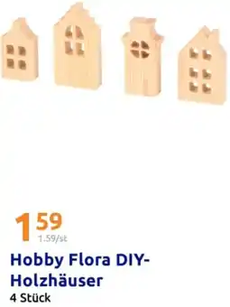 Action Hobby Flora DIY Holzhäuser Angebot