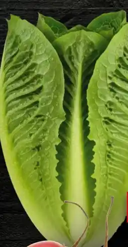 Handelshof Romanasalat Angebot