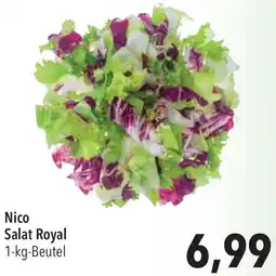 CITTI Markt Nico Salat Royal Angebot