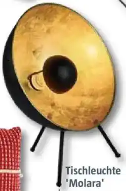 Bauhaus Tischleuchte 'Molara' Angebot