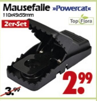 Wreesmann Top Flora Mausefalle Powercat Angebot