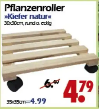 Wreesmann Pflanzenroller Kiefer natur Angebot