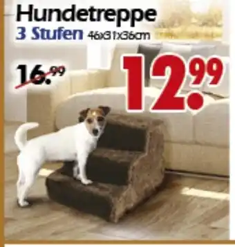 Wreesmann Hundetreppe Angebot