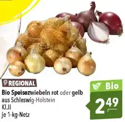 CITTI Markt Bio Speisezwiebeln rot oder gelb aus Schleswig-Holstein Angebot